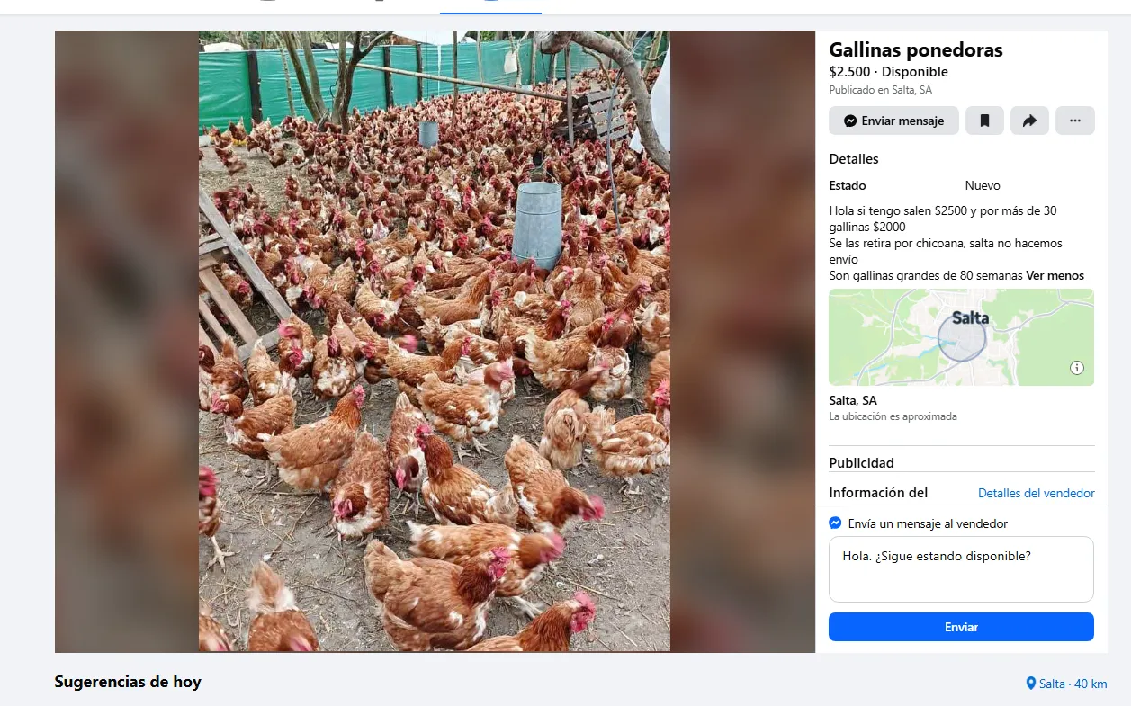 multimedia.normal.984dd06fb292e028.bm9ybWFsLndlYnA=