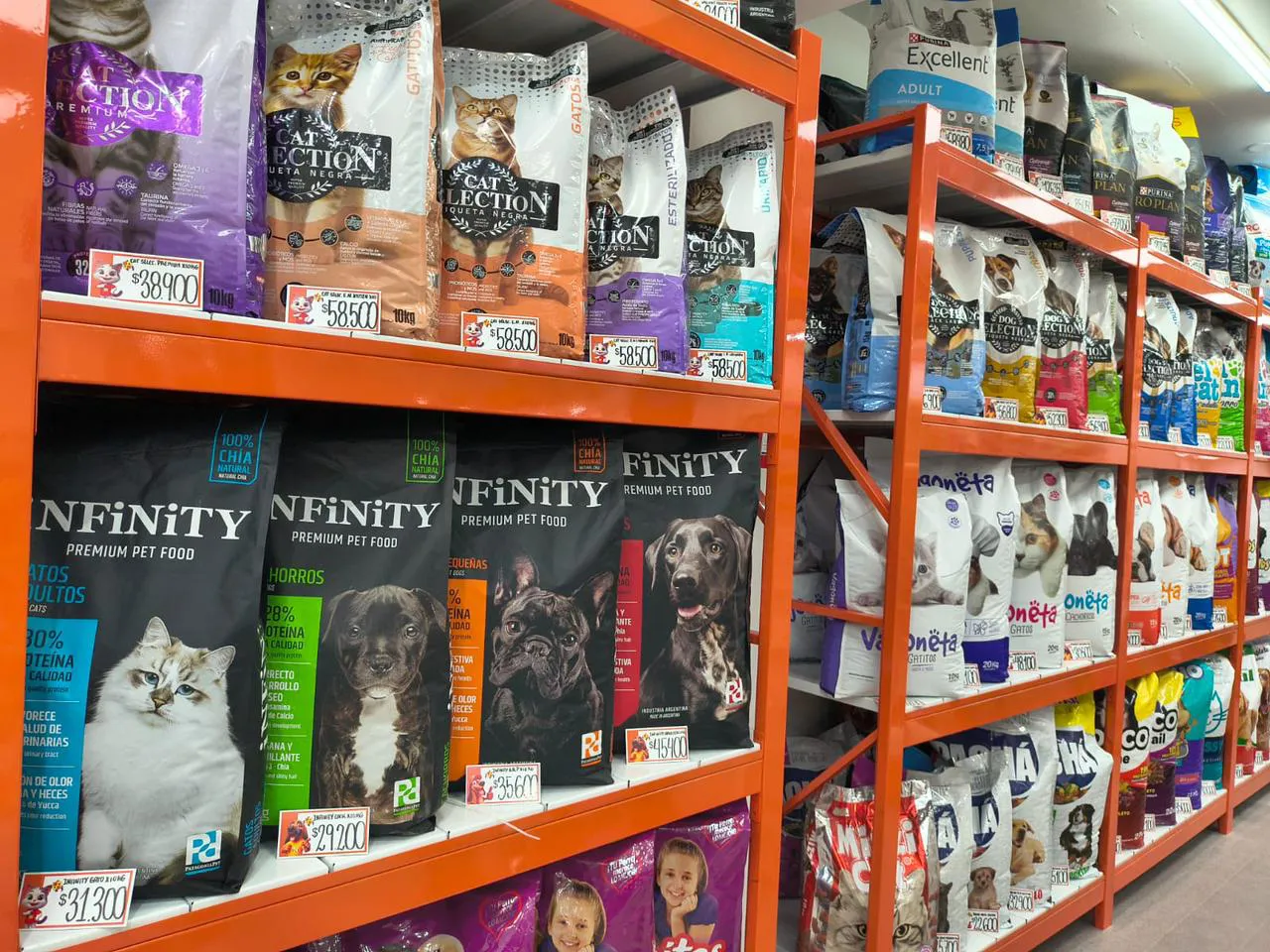 WhatsApp Image 2026-02-20 at 11.20.40