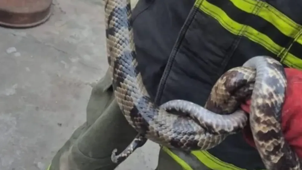 portada página web (2)