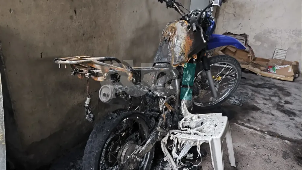 portada página web (9)