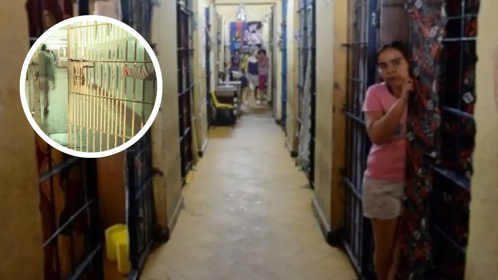 Copia de PORTADAS YOUTUBE (61)