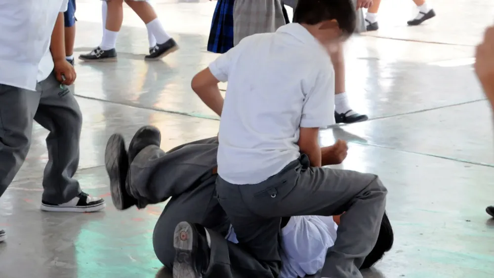 portada página web (9)