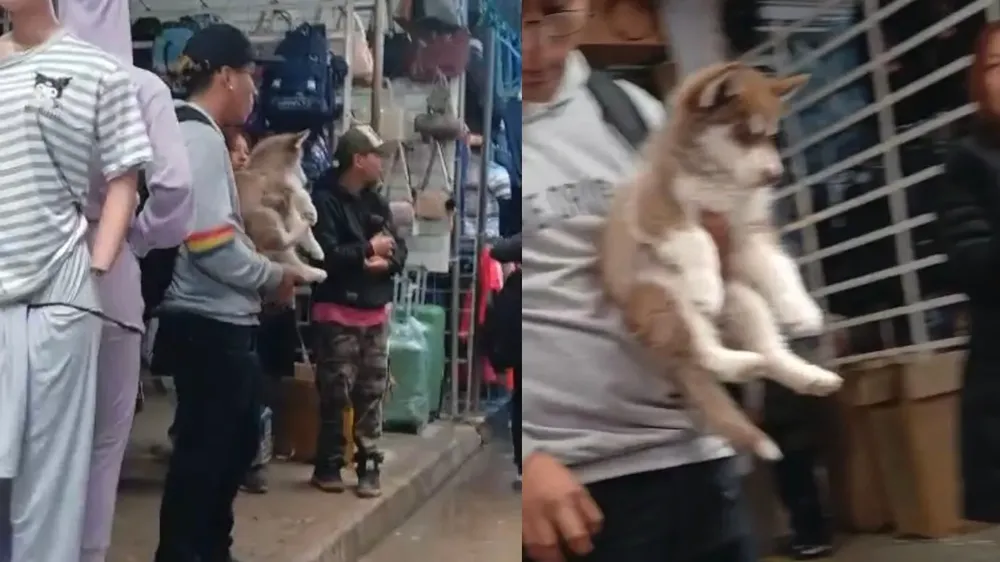 En una sesión extraordinaria del Consejo Superior de la UNSa, se aprobó el despacho de mayoría con 21 votos a favor, 6 por la minoría y 2 abstenciones.