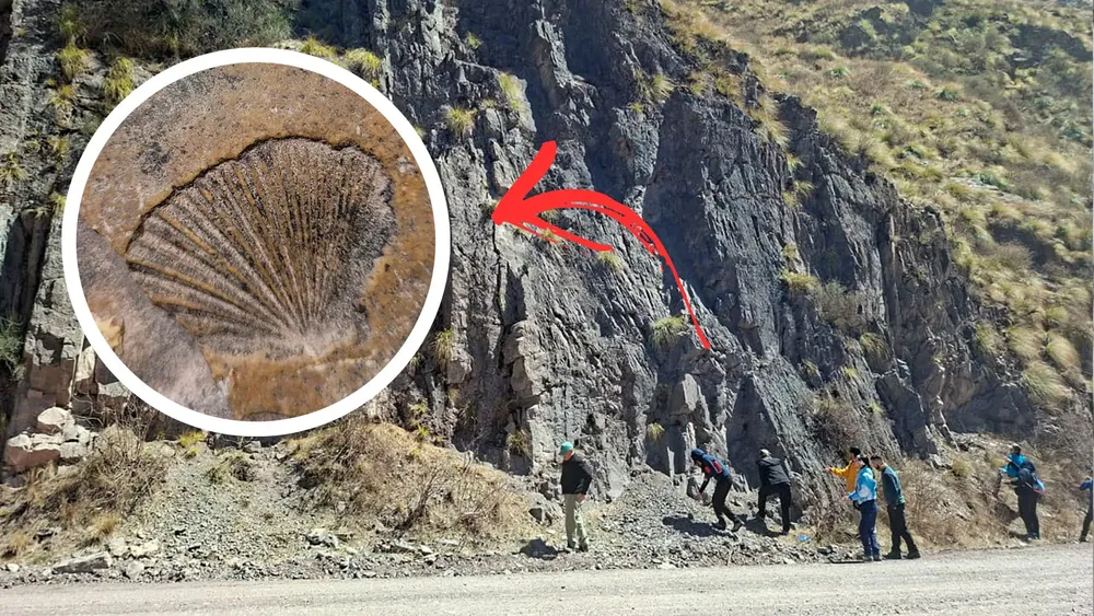 portada página web (1)