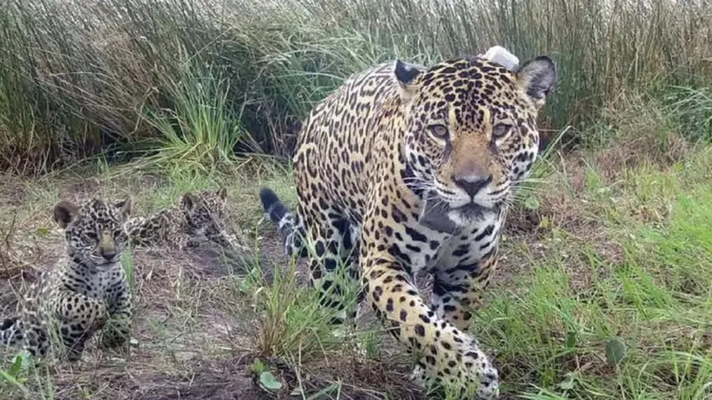 portada página web (3)