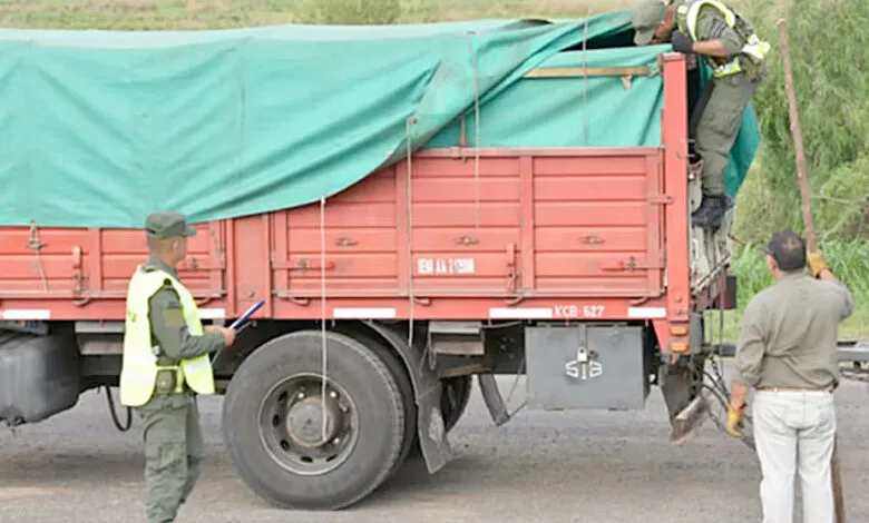 pagina-17-14-780x470