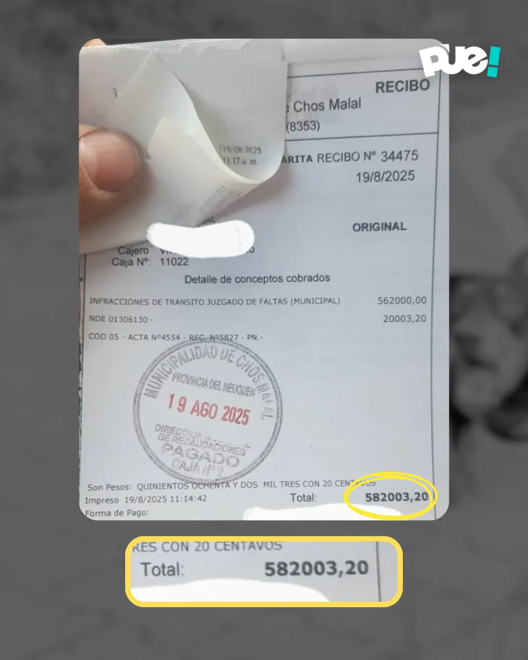 placa ig nueva