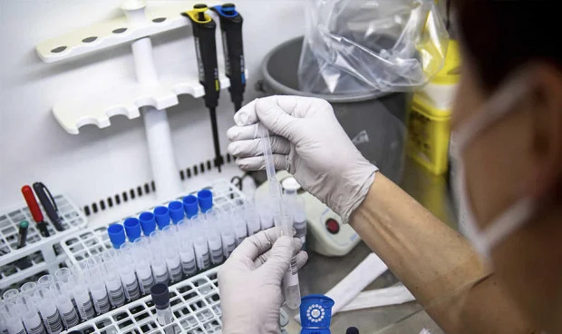 la-gripe-aviar-nueva-pandemia-mundial-el-cambio-que-se-debe-evitar-2322_620x368