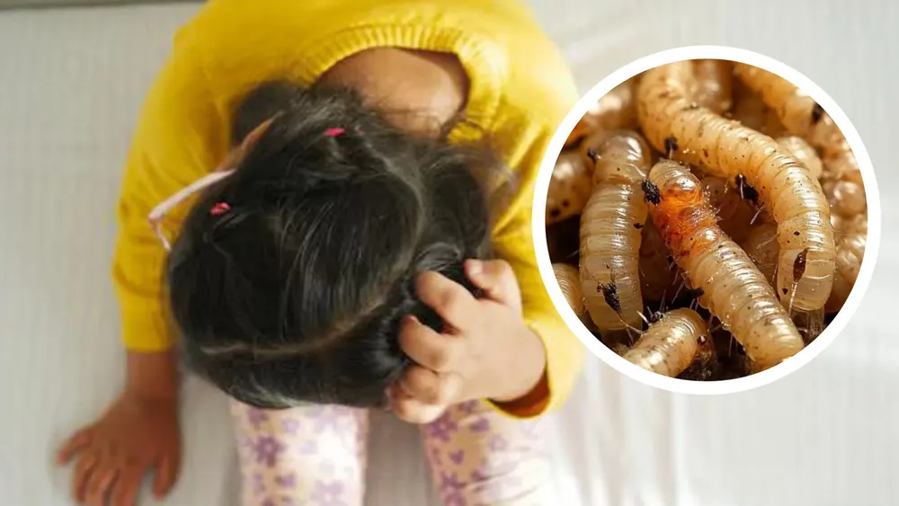 portada página web (4)