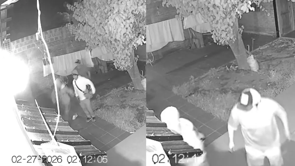 portada página web (1)