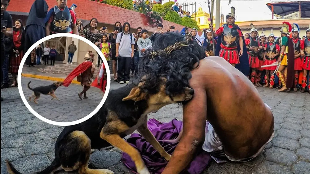 portada página web (5)