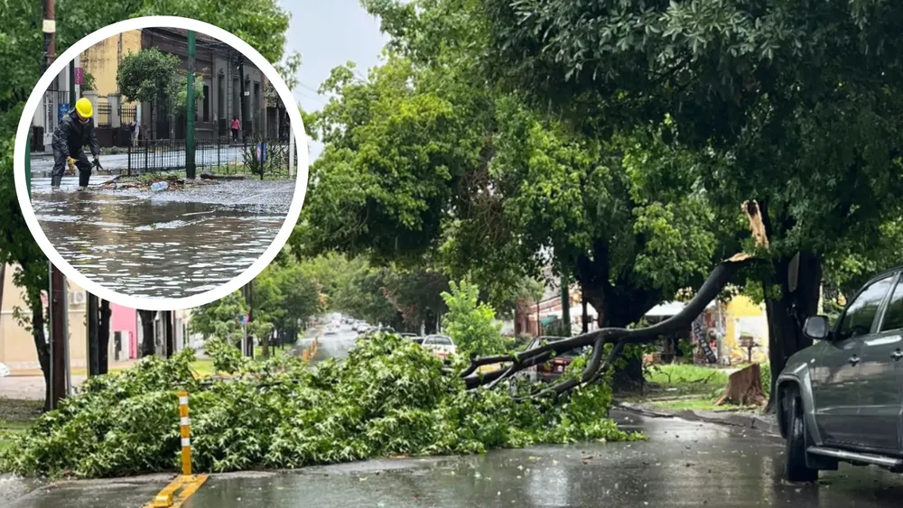 portada página web (25)