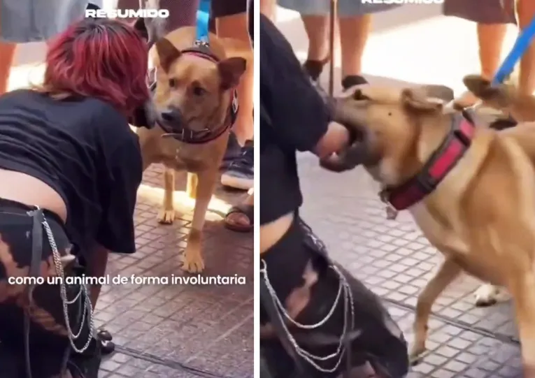 multimedia.normal.93ac4bcb127d0c08.bm9ybWFsLndlYnA=