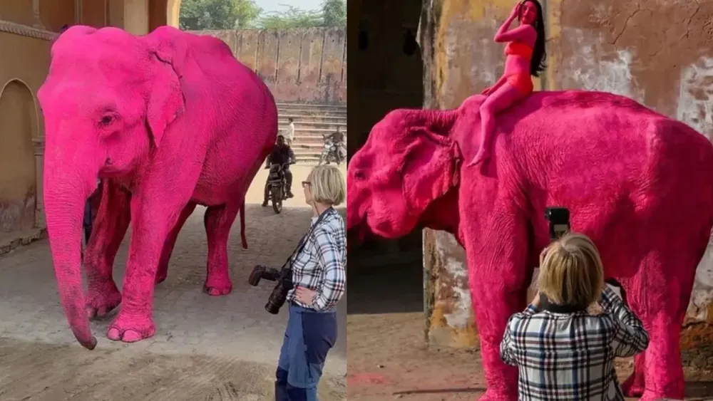 portada página web