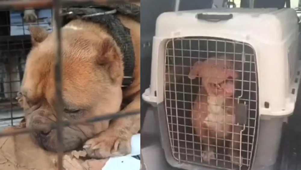 portada página web (9)