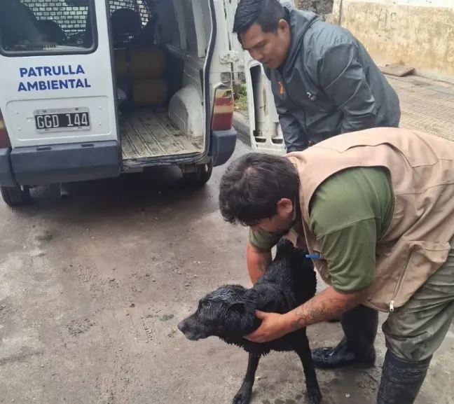 multimedia.normal.af5f3cae94fbe252.bm9ybWFsLndlYnA=