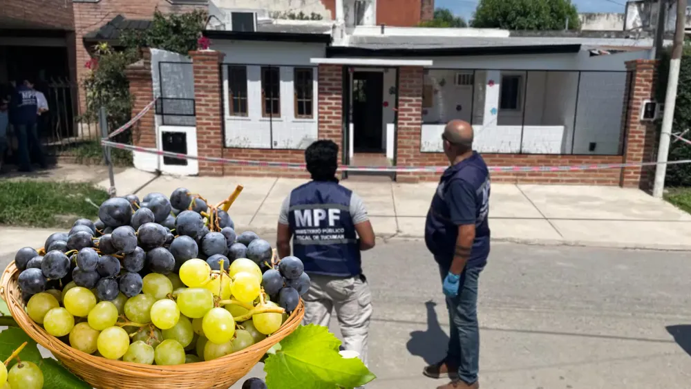 portada página web (43)