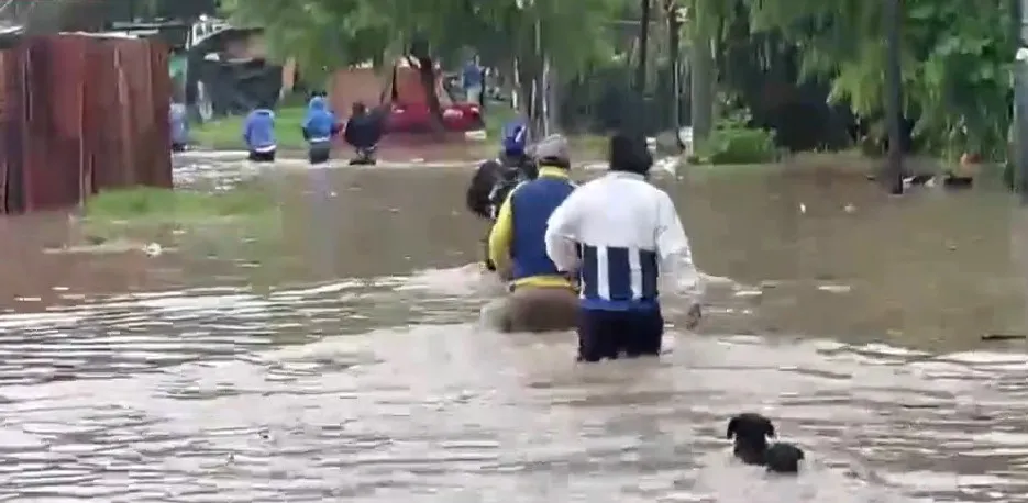 multimedia.normal.980b582590ed5b66.bm9ybWFsLndlYnA=