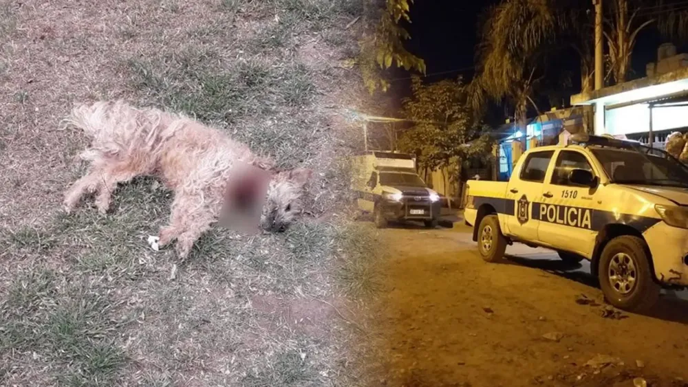 portada página web (1)