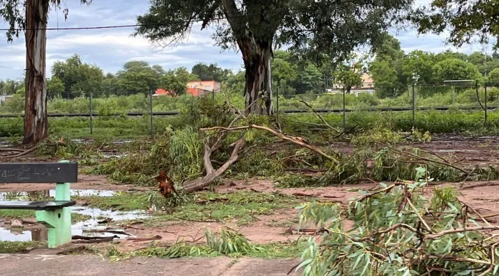 6978bc4256cb7_715_396!