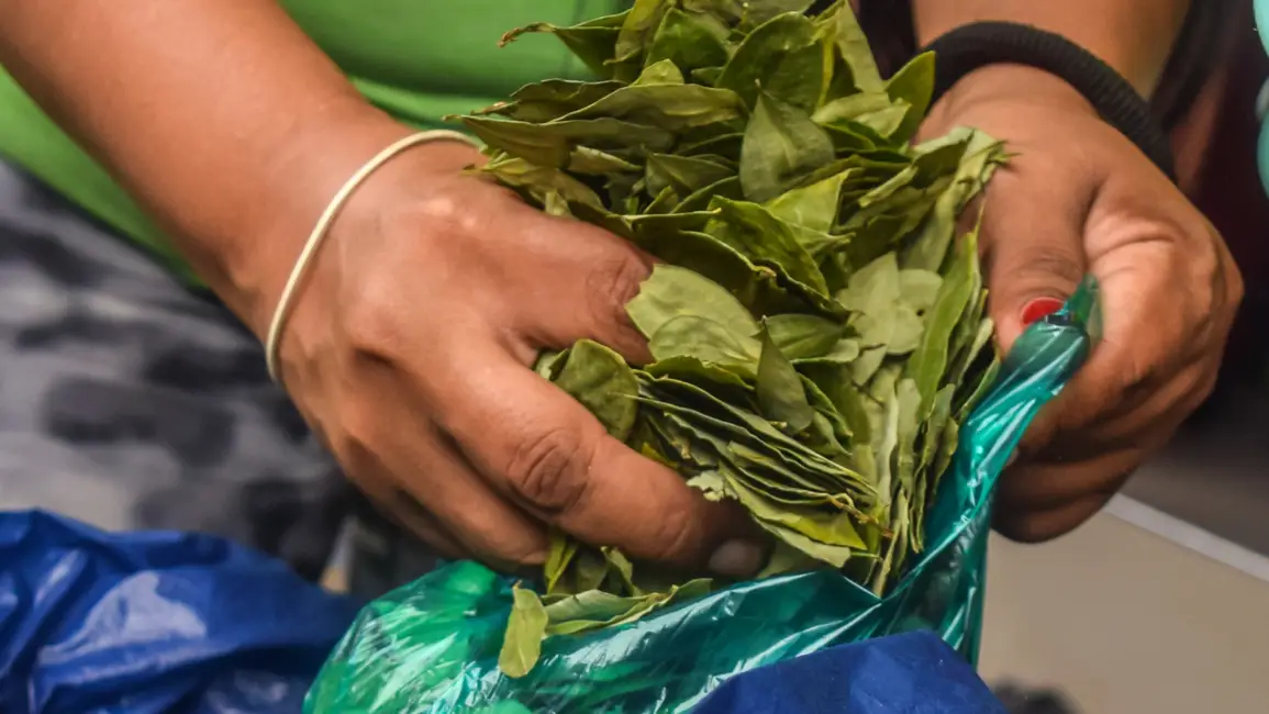 multimedia.normal.b9fe9d21c1f207cc.bm9ybWFsLndlYnA=