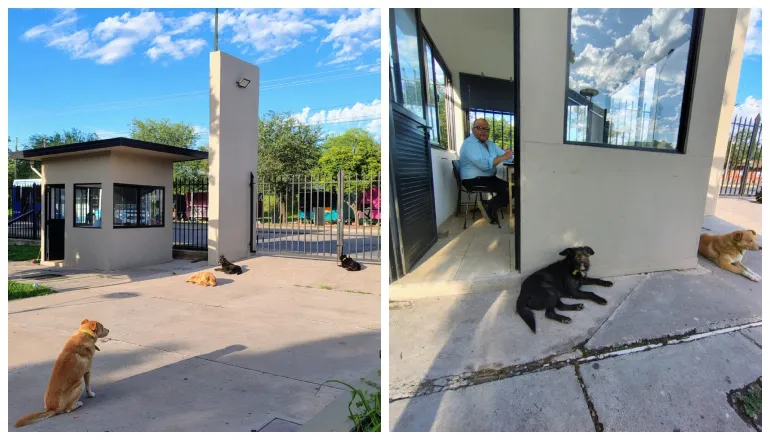 multimedia.normal.bc4c3c5e65743cb1.bm9ybWFsLndlYnA=