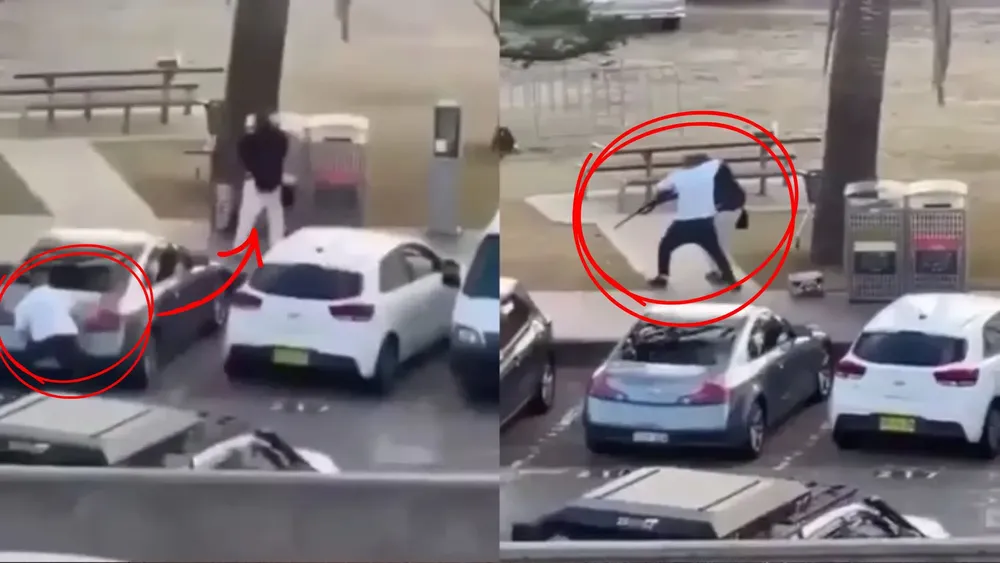 portada página web (1)