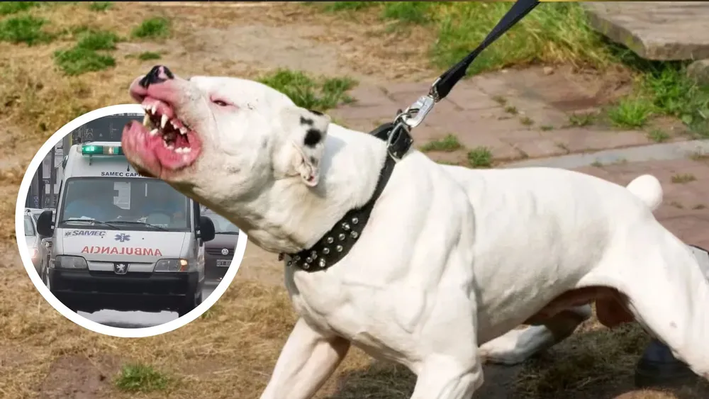 portada página web (5)