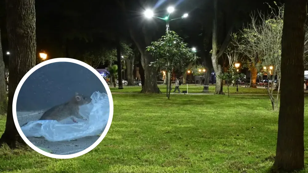 portada página web (17)